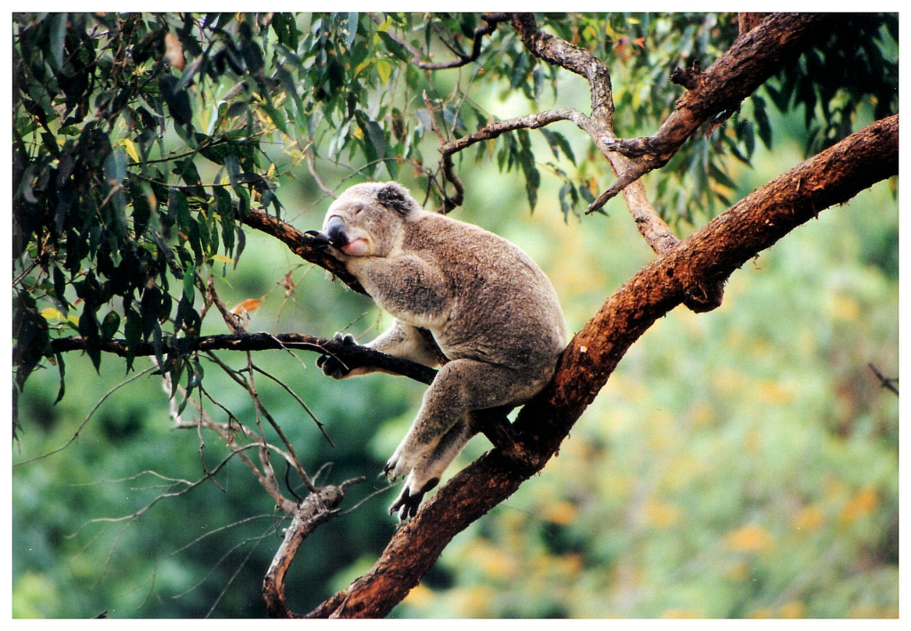 04 - Queensland (1).jpg